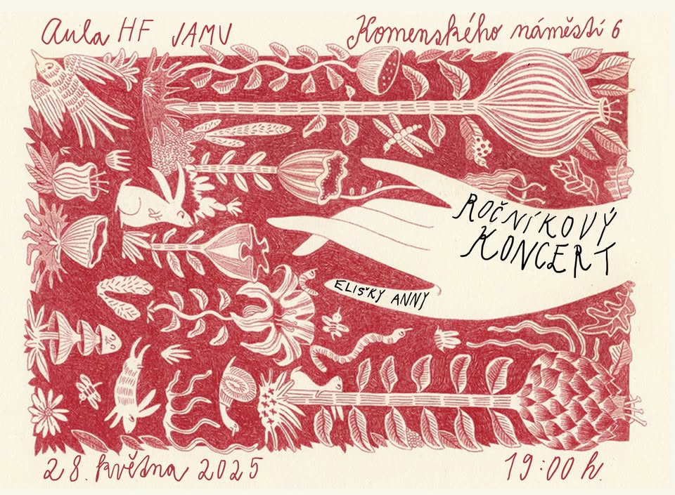 Ročníkový koncert Elišky Anny