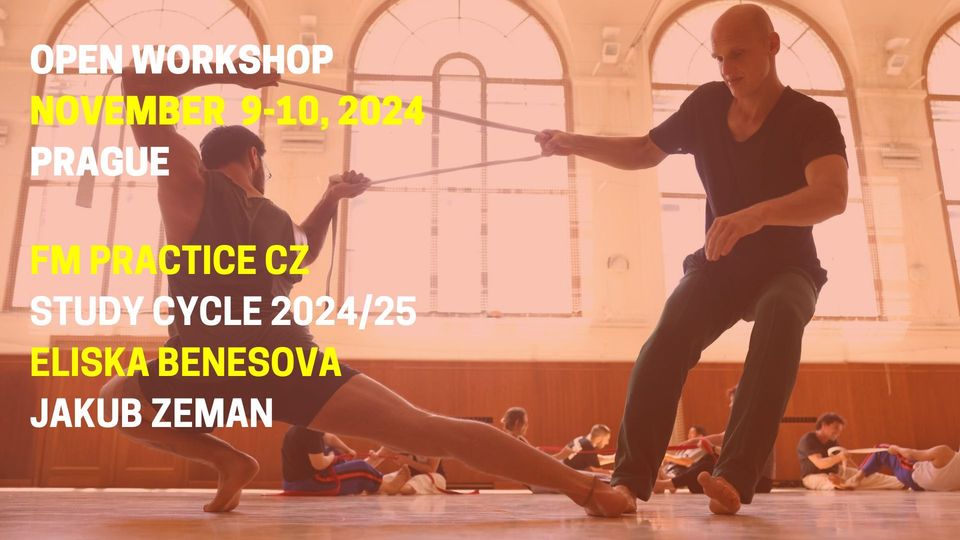 Open Workshop November - FM Practice CZ
