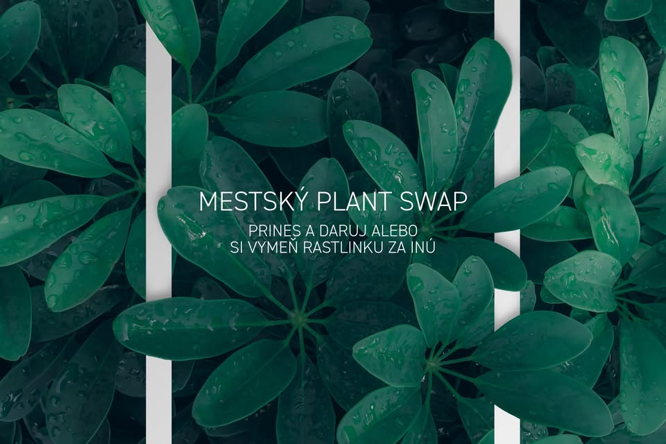 Mestský Plant Swap