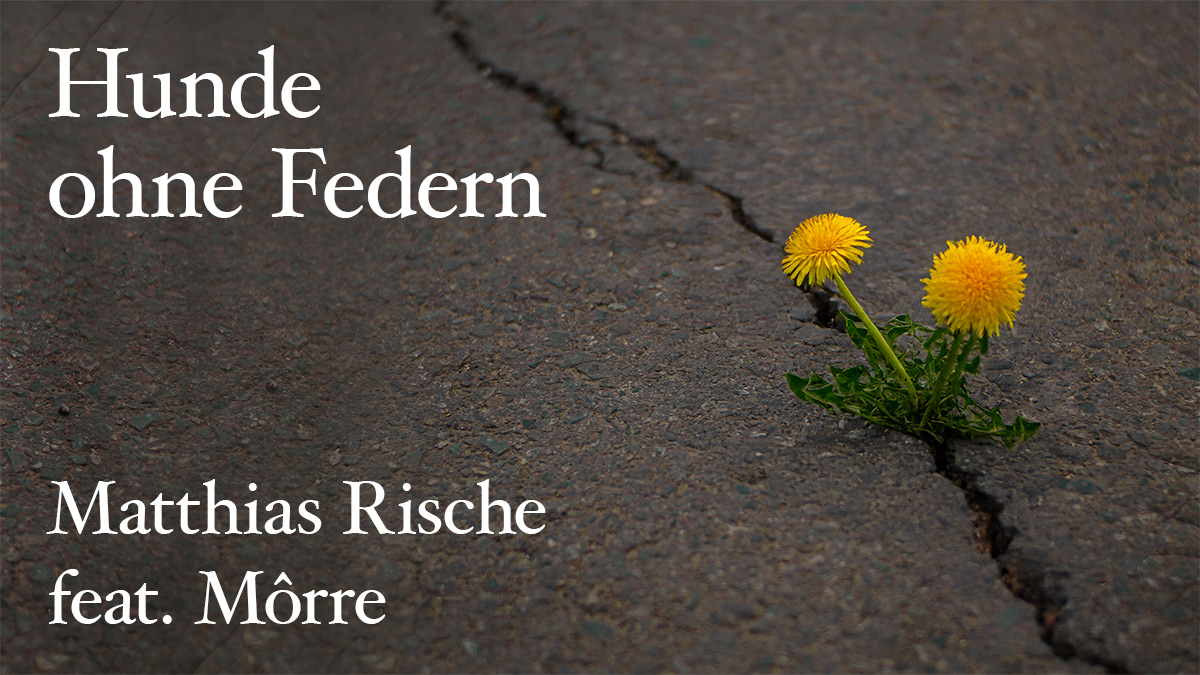 TresenLesen: Matthias Rische feat. Môrre