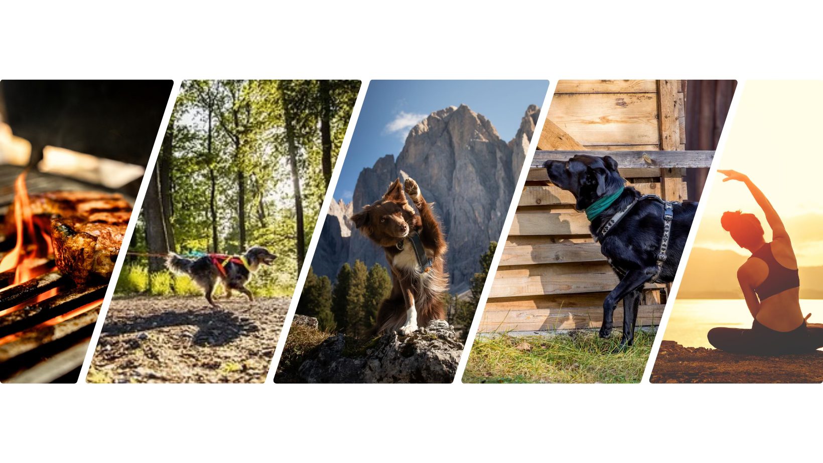 Příměšťák Dog Society & Empatic Dog