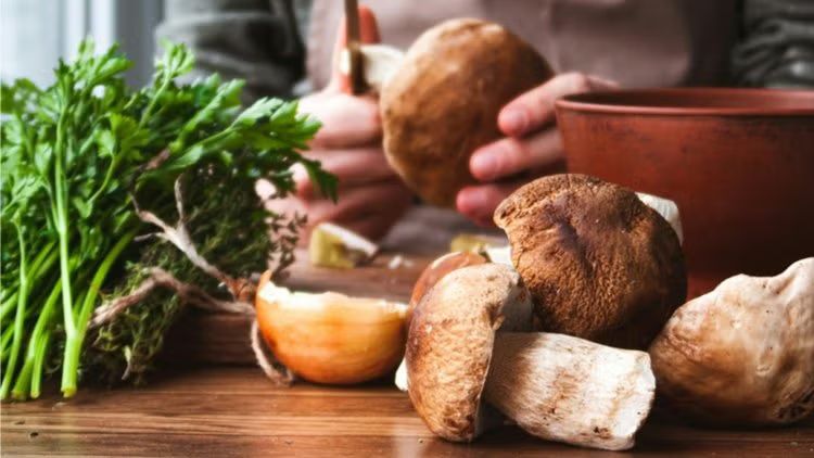 🍄 Mushroom Foraging & Cooking Adventure 🍳