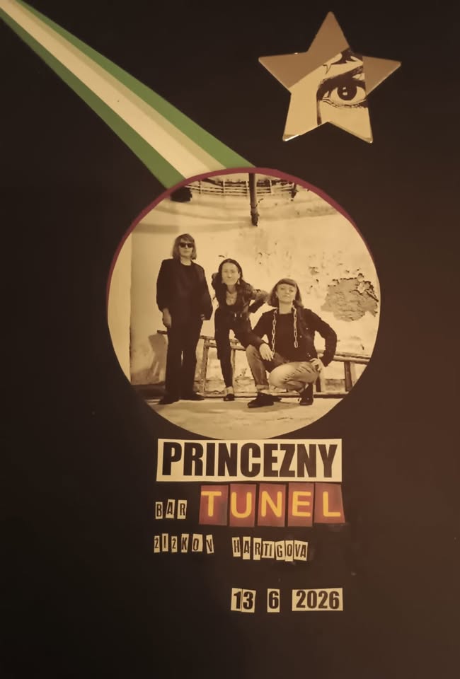 PRINCEZNY V TUNELU