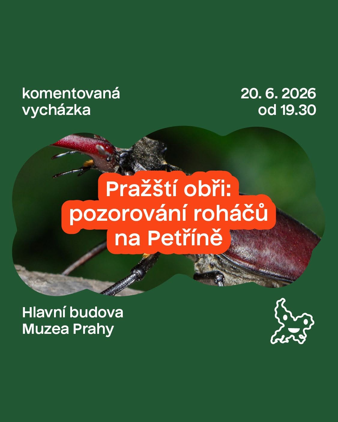 Pražští obři: pozorování roháčů na Petříně