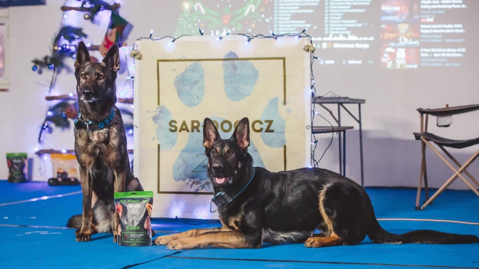 Vánoční besídka 2024 žáků naší školy SAR-DOG-CZ