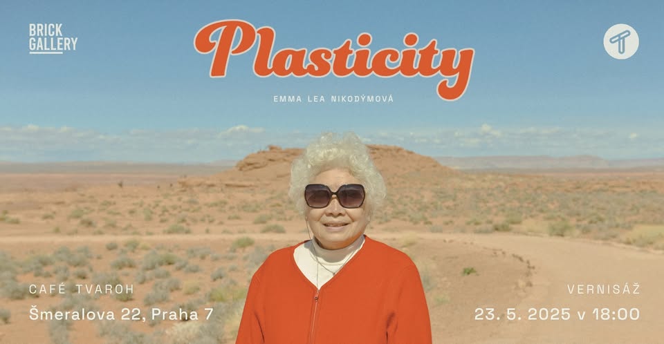 "PLASTICITY" Emma Lea Nikodýmová