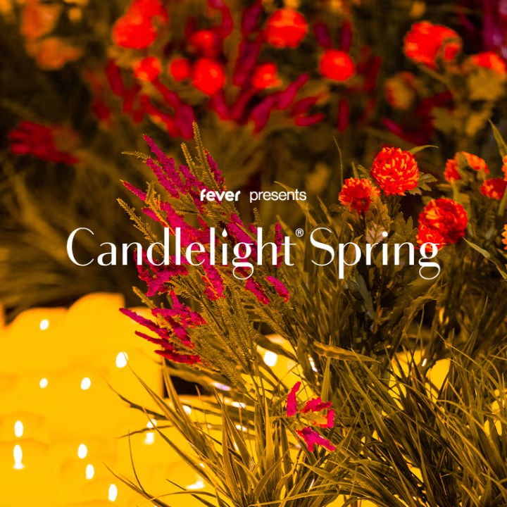 Candlelight Spring: Adele | Amsterdam