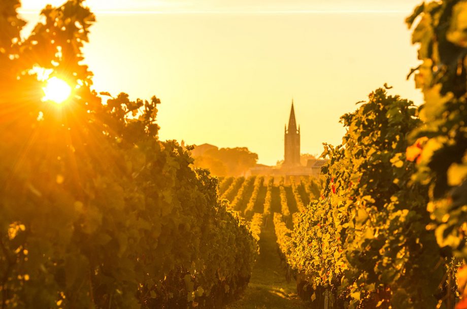 Koncoročná degustácia Bordeaux 2022