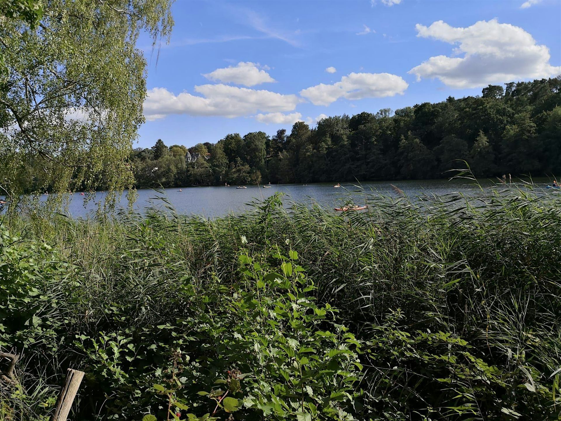 So,16.11.25 Wanderdate Vom Schlachtensee bis zur Havel für 45+