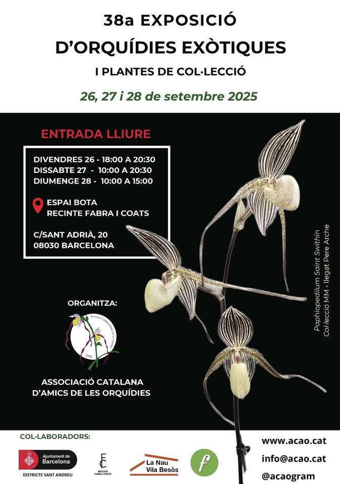 38° Exposición de Orquídeas Exóticas y Plantas de colección - Barcelona - ACAO