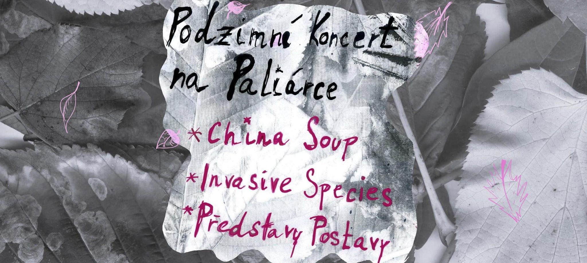 PODZIMNÍ KONCERT NA PALIÁRCE  ★ ✹ ✶