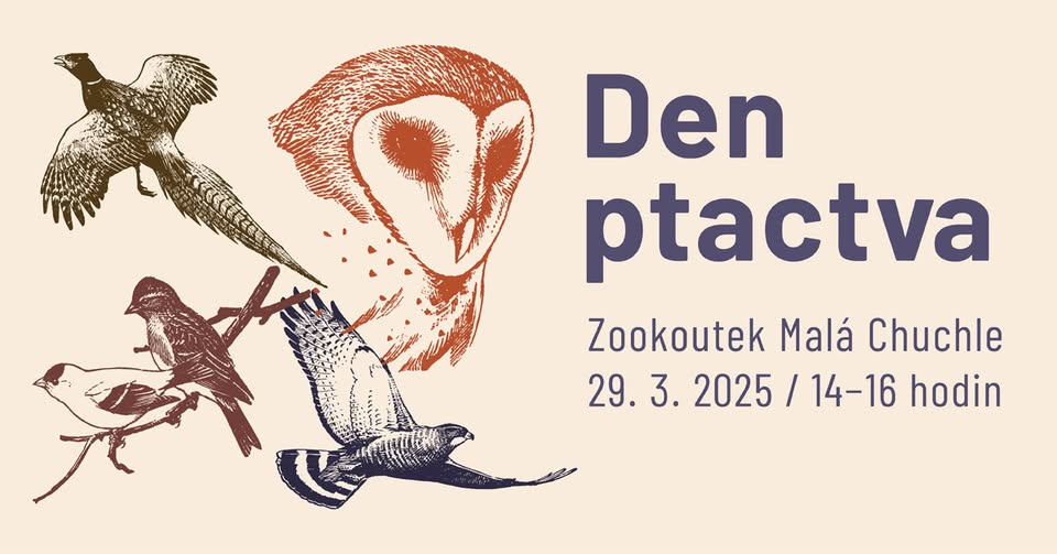🐦 Den ptactva 2025
