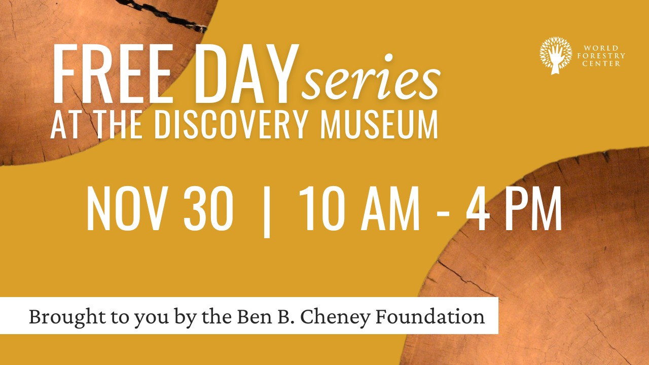 Free Day at the Discovery Museum