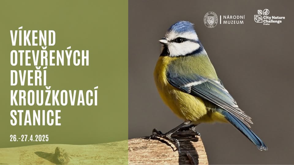 Víkend otevřených dveří v Kroužkovací stanici