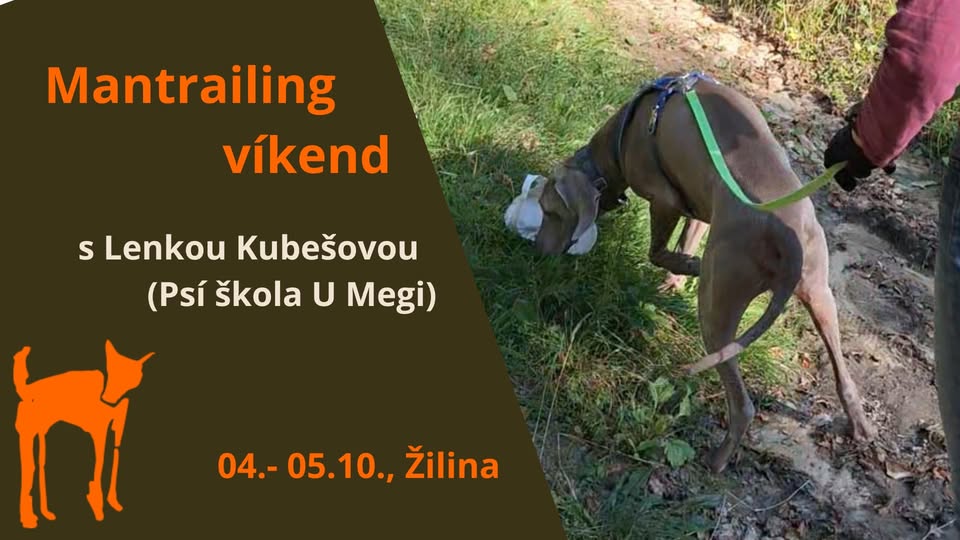 Mantrailing s Lenkou Kubešovou