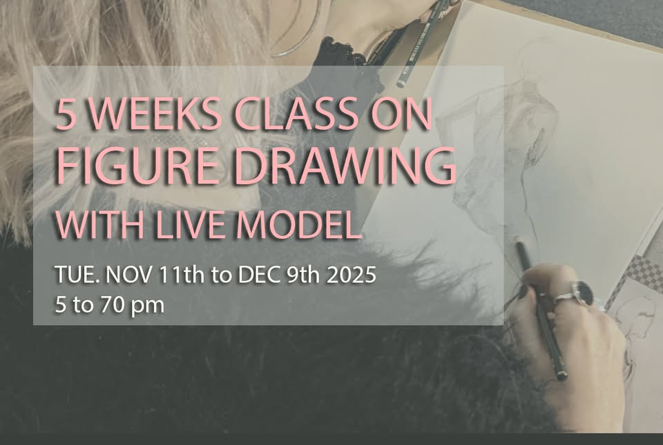 5 WEEKS CLASS ON FIGURE DRAWING for beginners - with live model