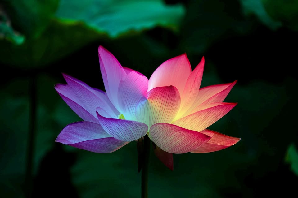 Meditace Kundalini Archetypes