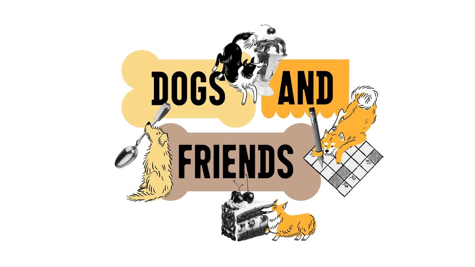 DOGS & FRIENDS 🐾 Podzimní edice 2025