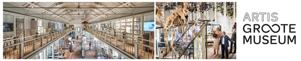 Bezoek aan het ARTIS-Groote Museum