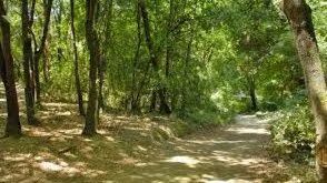 Caminata desde Barcelona a Sant Cugat por el camino de Santiago y Sant Medir