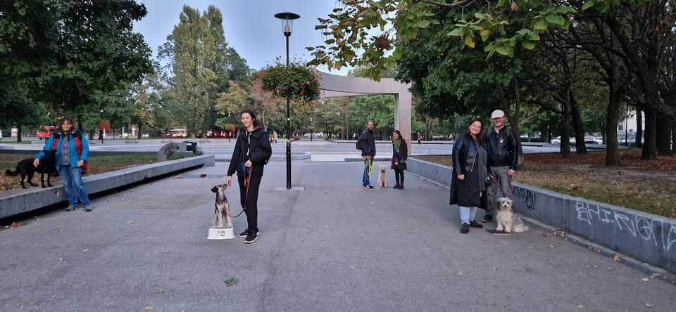 Skupinový tréning - park Andreja Hlinku - Ružinov