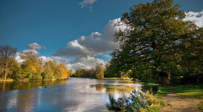 Day Hike: Epping forest to Royal Wanstead park via High Beach Ghost
