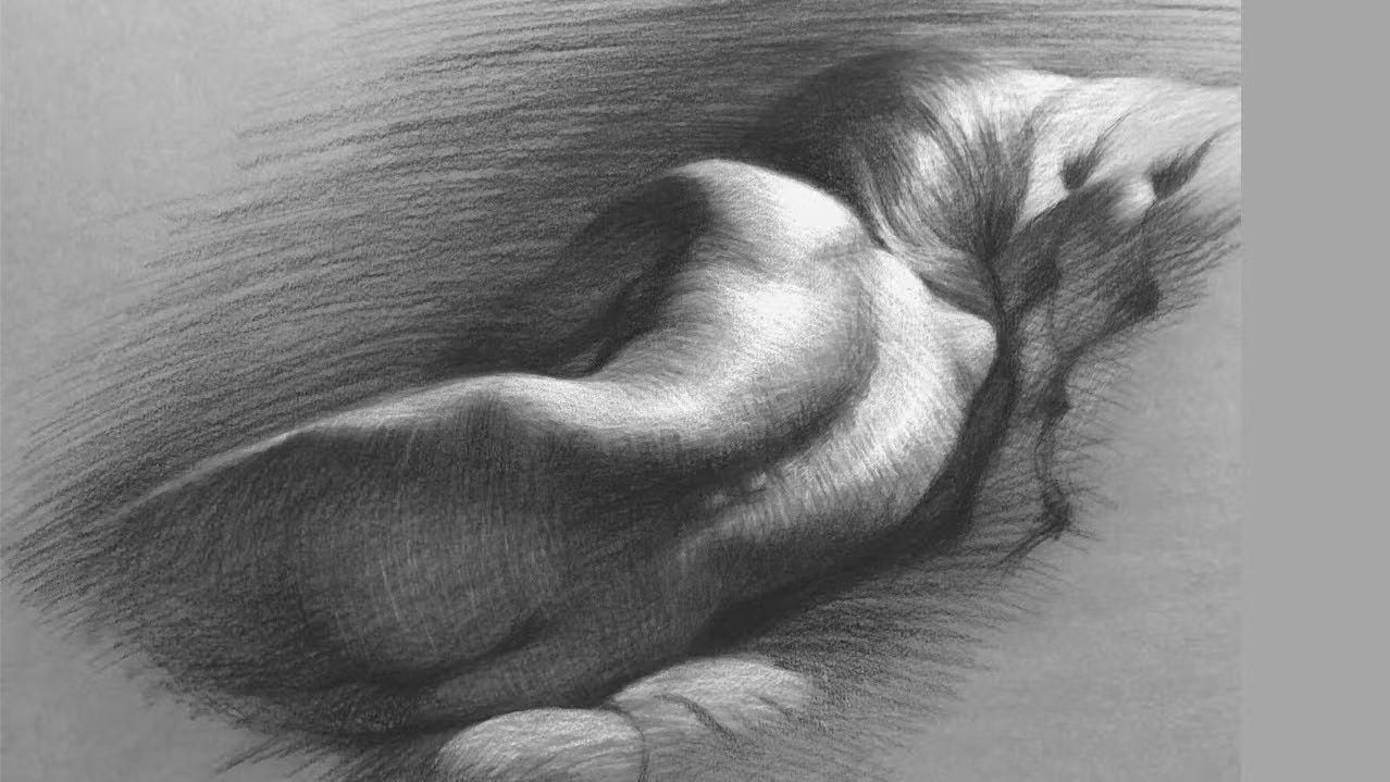 Life Figure Drawing Session (Centre of Amsterdam) -last 4 spots!