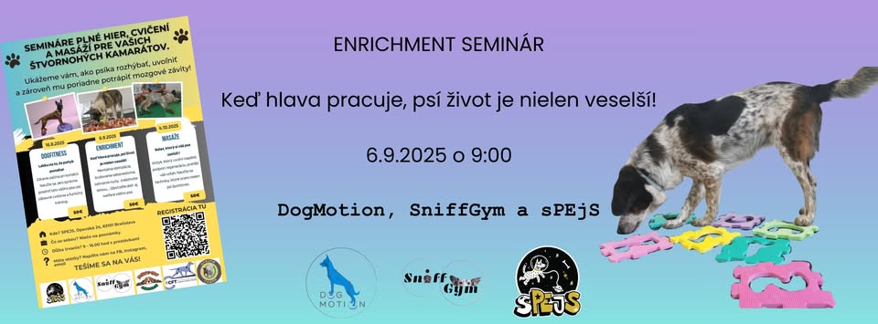 Enrichment seminar - when the head works, dog life is not only cheerful!