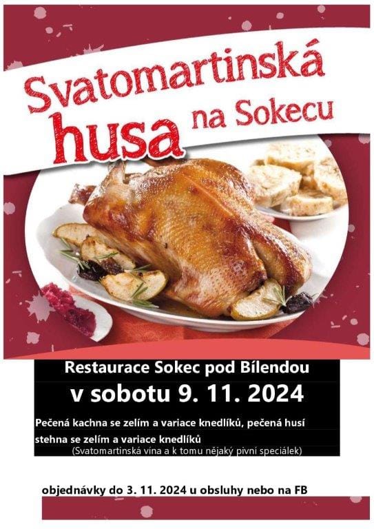 Svatomartinské hody