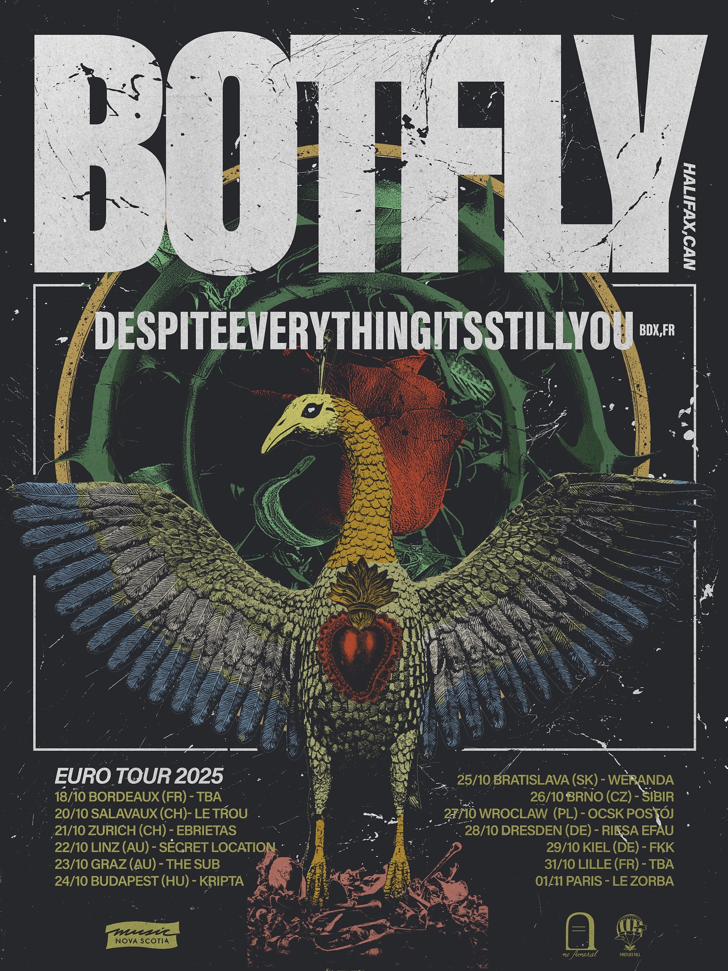 BOTFLY (CA) // DEISY (FR)
