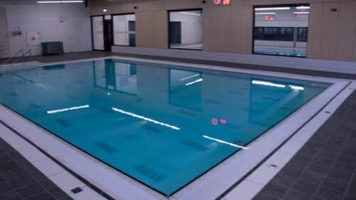 🏊 Adult Swim Lessons in Veldhoven/Eindhoven