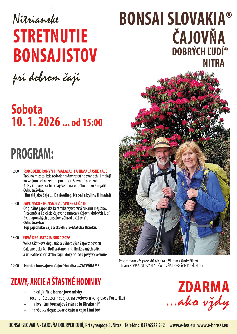 Stretnutie bonsajistov v Nitre pri dobrom čaji