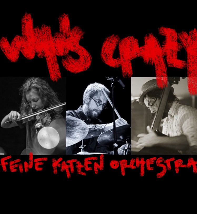 WHO’S CRAZY: Feine Katzen Orchestra