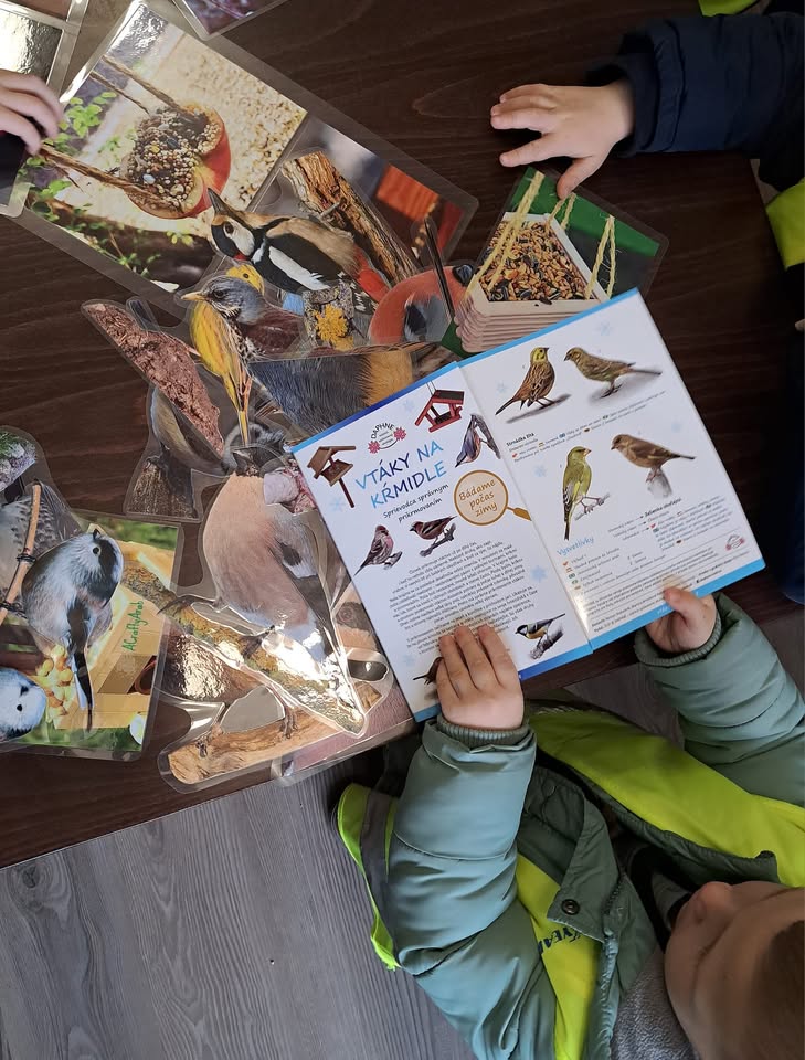 A natural science circle a young conservationist