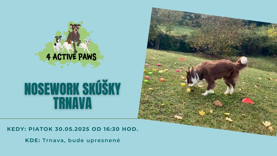 Májové NOSEWORK SKÚŠKY v Trnave
