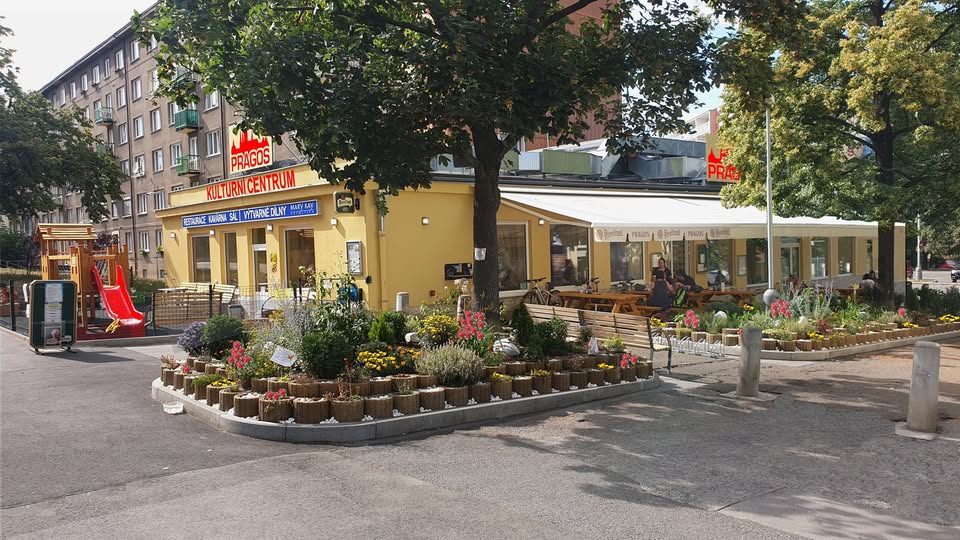 SALSA VEČER - TANEC = PÁTKY KAŽDÝCH 14 DNÍ