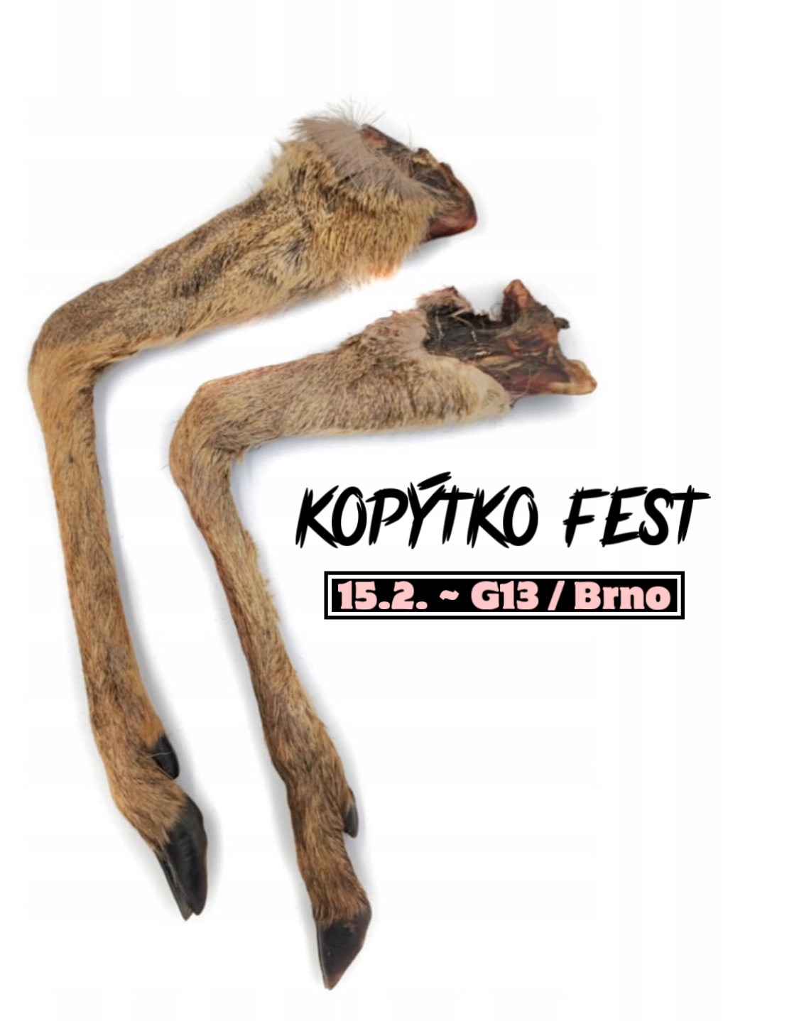KOPÝTKO FEST ~ INDOOR