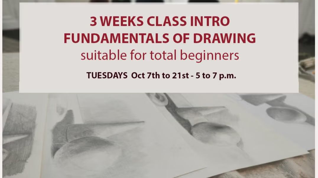 3 WEEKS CLASS ON FUNDAMENTALS OF DRAWING  suitable for total beginners