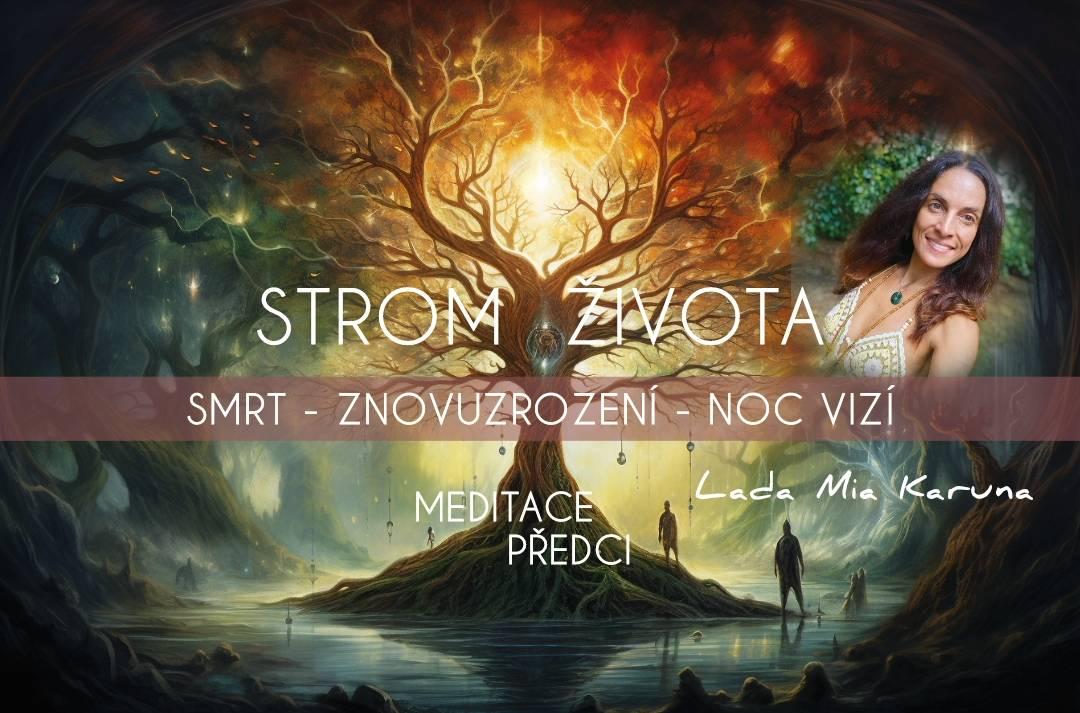 STROM ŽIVOTA I. - Smrt - Znovuzrození - Noc vizí - Meditace Předci - Cacao a Rape Ceremony