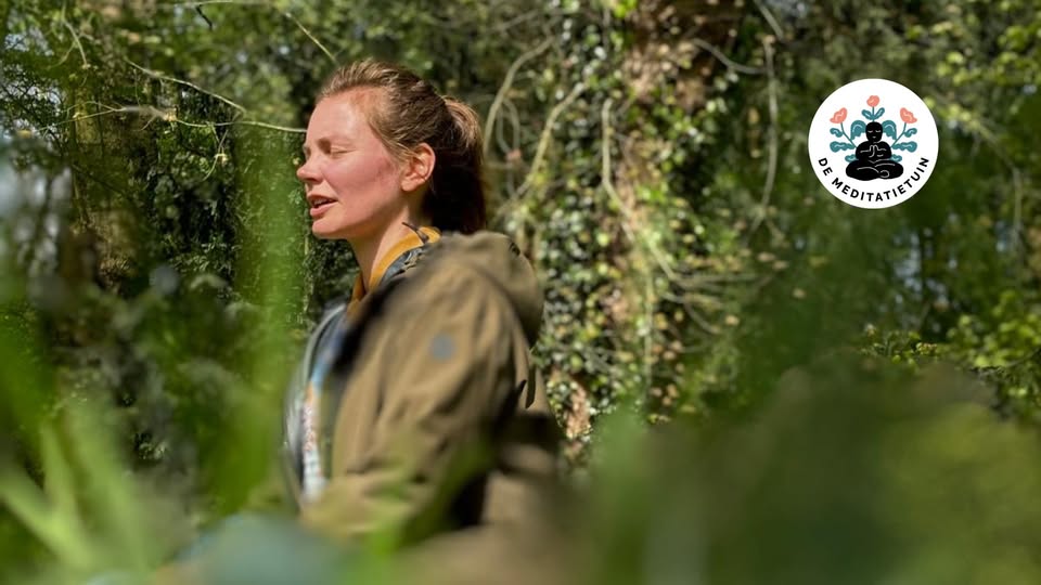 Mindful walk: helende planten | Maartje Asscheman