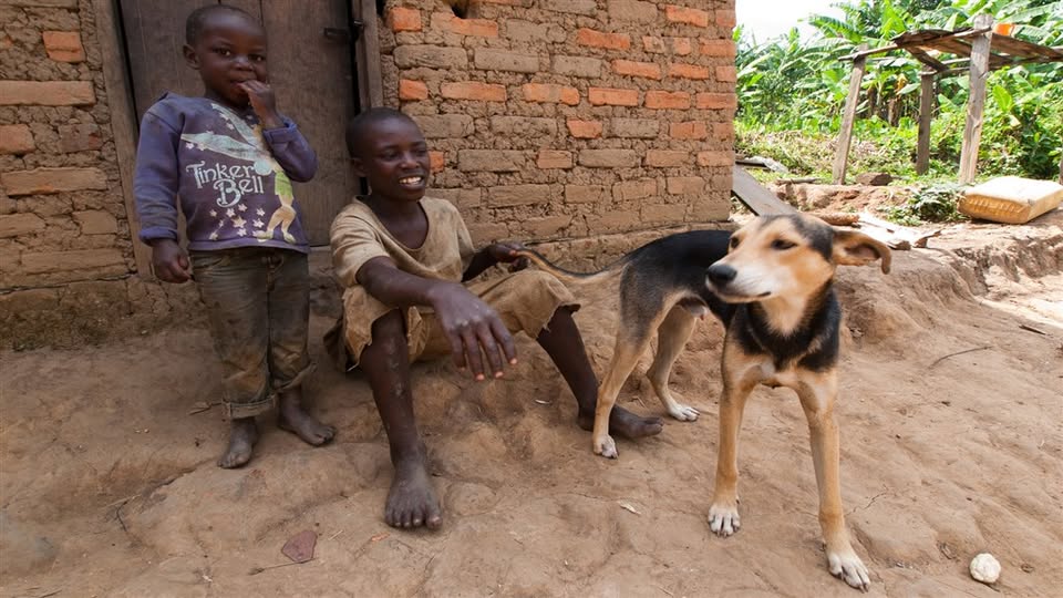 AFRIKA POD KILIMANDŽÁREM - toulky po Ugandě, Keni, Tanzanii,Rwandě i Kongu+ONLINE I ZÁZNAM