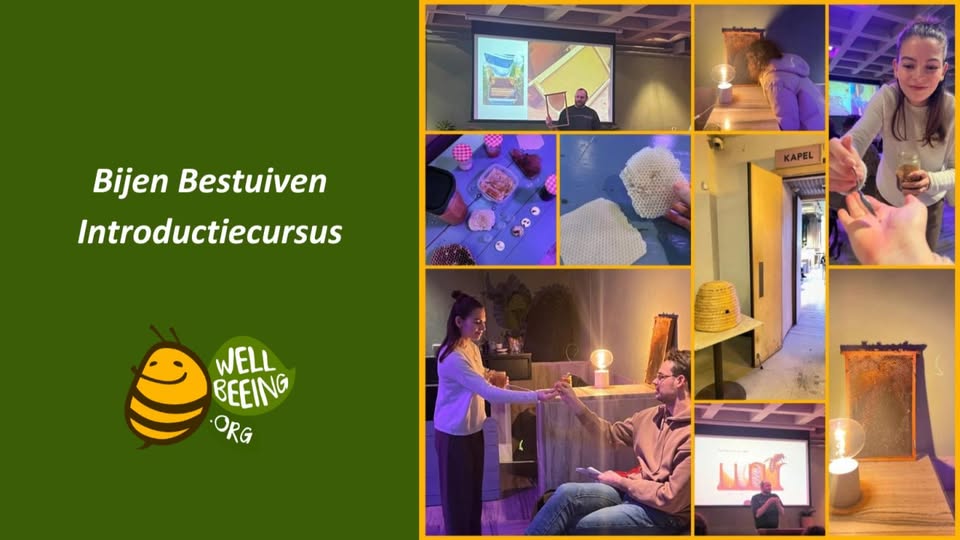 Bijen Bestuiven Introductiecursus