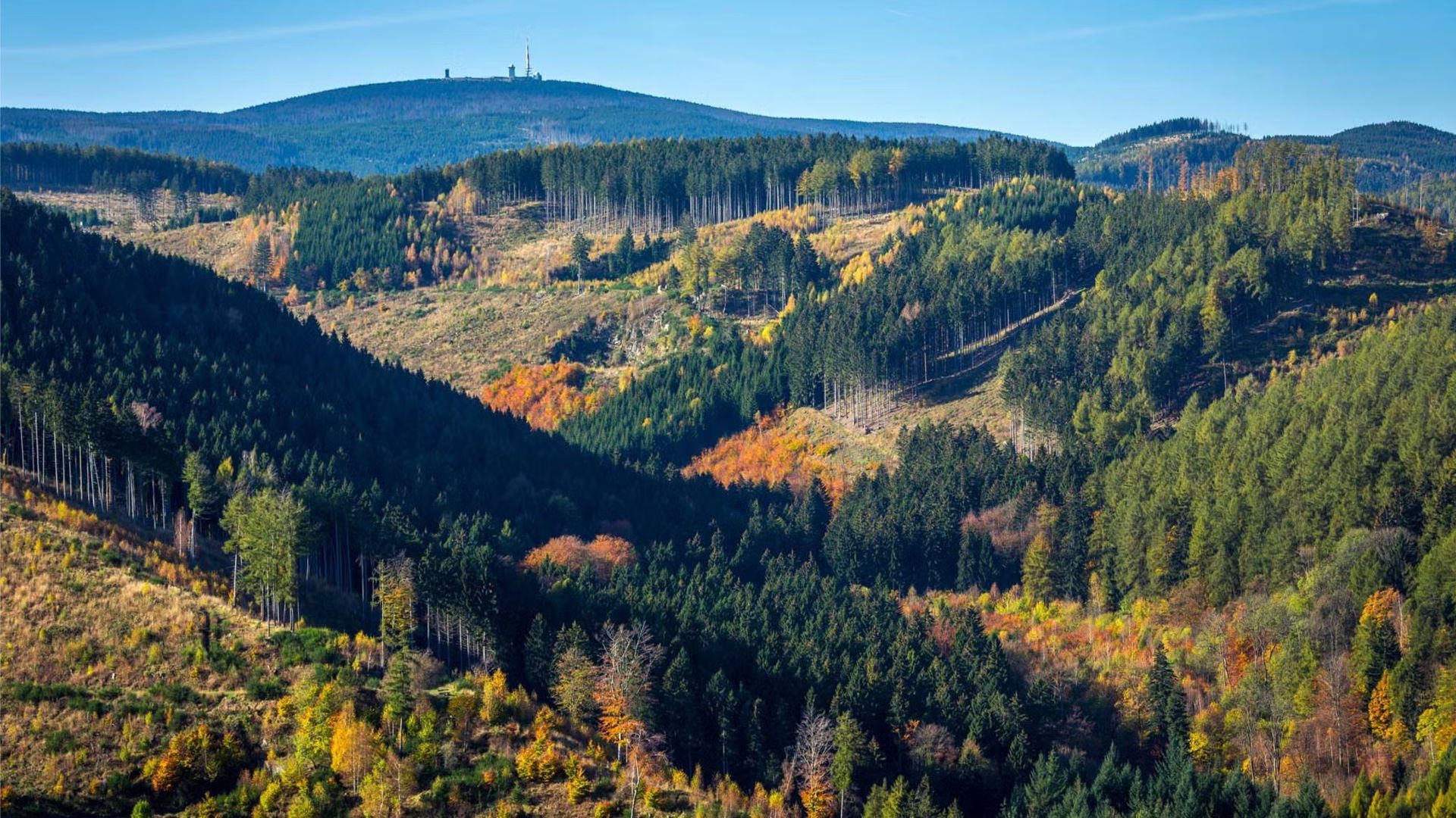 Harz in a Day - Magic Mountain, Misty Peak, Choo Choo Train & Old Town