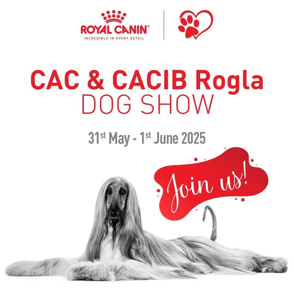 2x CACIB Rogla