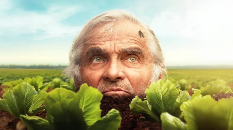 Letní minikino: Zahradníkův rok