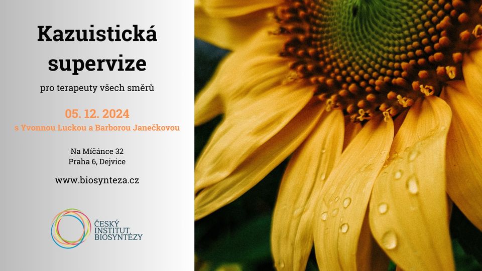 KAZUISTICKÁ SUPERVIZE s Yvonnou Luckou a Barborou Janečkovou