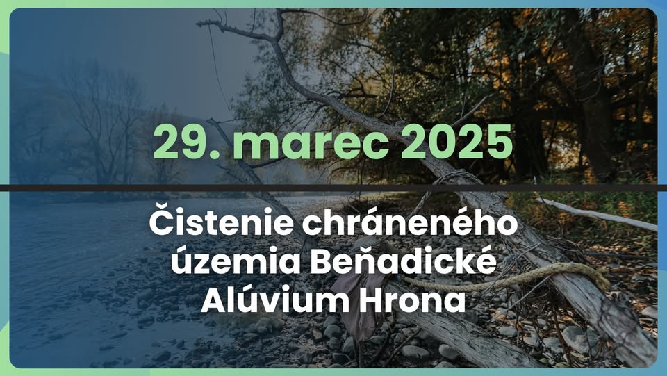 Čistenie Beňadického Alúvia Hrona