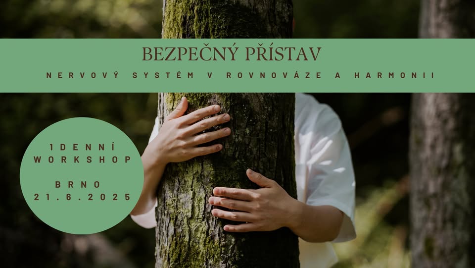BEZPEČNÝ PŘÍSTAV - jak navodit pocit bezpečí a klidu v těle