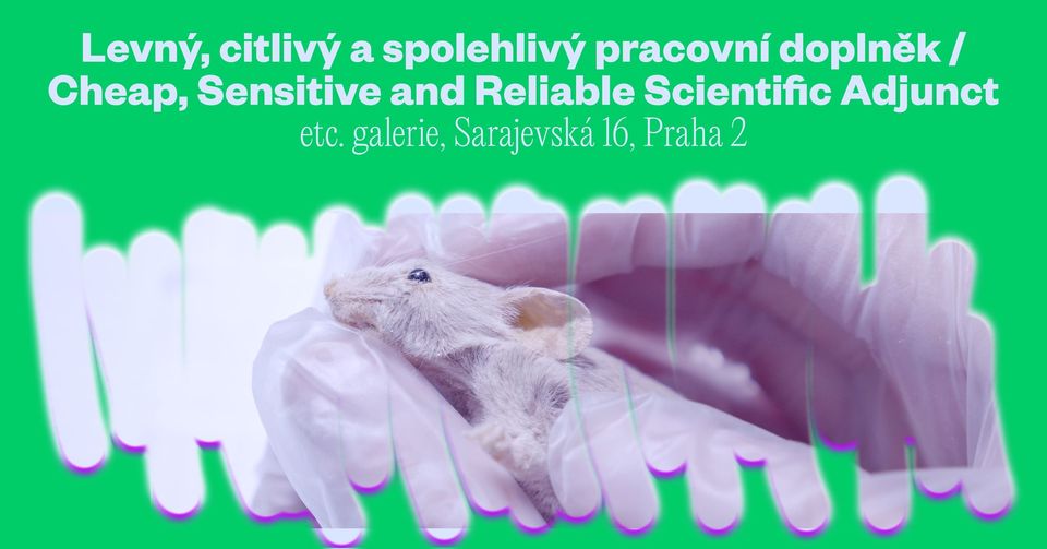 projekce/screening: Levný, citlivý a spolehlivý pracovní doplněk