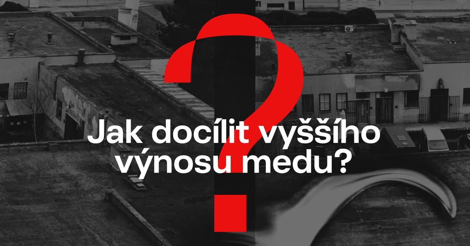 Umělecký kolektiv OPĚT: Jak docílit vyššího výnosu medu